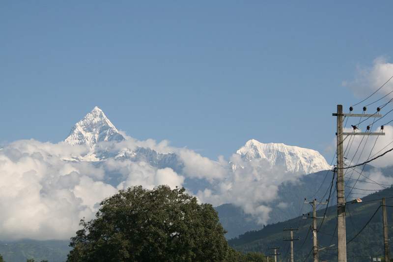 India & Nepal 2011 - 0496